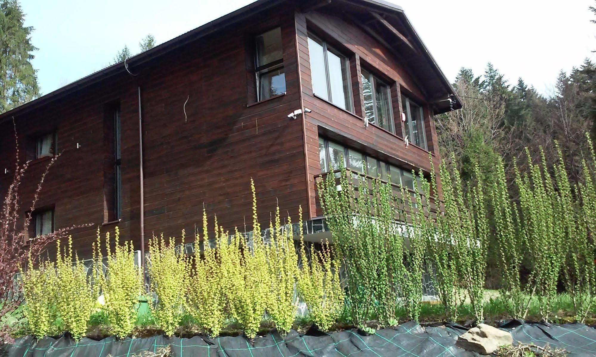 Karolinka Guest House Szczyrk Exterior foto